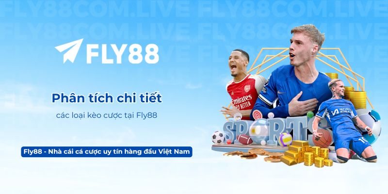 Phân tích chi tiết các loại kèo cược tại Fly88